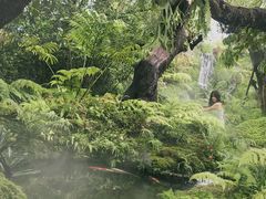 -Chom Cafe and Restaurant