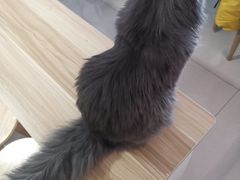 -平行世界·猫咖(首经贸店)