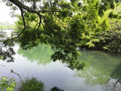 -西湖外事游船(花港观鱼码头)