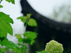 -君庭中餐厅(友谊宾馆店)