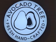 -油梨树 AVOCADO TREE(亮马桥店)