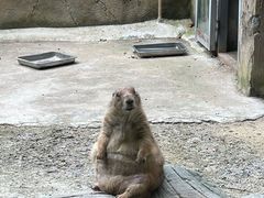 -合肥野生动物园