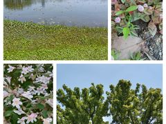 -上海植物园-4号门售票处