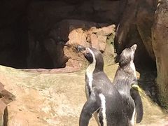 -长鹿旅游休博园