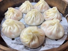 -莱莱小笼·乔艾