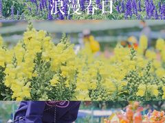 -盈香心动乐园