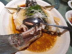 -张记旺角食街(动物园店)