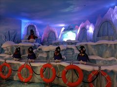 -帝企鹅自助餐厅•儿童岛•真企鹅(长隆企鹅酒店)