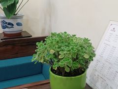 -三承堂经络·艾灸养生馆