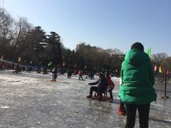 -紫竹院公园冰场