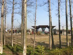 -上海长兴岛郊野公园