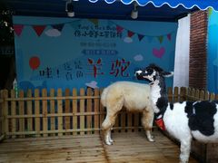 -佟小曼手工茶饼坊(鼓浪屿1店)