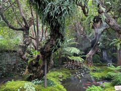 -Chom Cafe and Restaurant