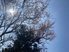 -北仑森林植物园