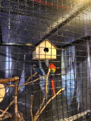 -酷嗒动物文化乐园(cutezoo西溪乐天城店)