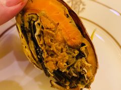 -甄御•海鲜新青岛菜(麦岛店)