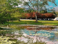 -中国科学院西双版纳热带植物园