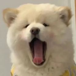 -名品美发