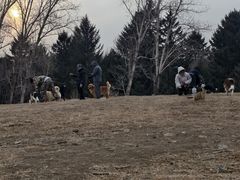 -长春市南湖公园