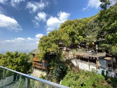 -南山植物园