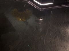-泰之源足浴会所(玉环店)