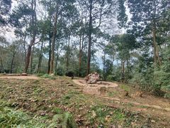 -中国大熊猫保护研究中心雅安碧峰峡基地