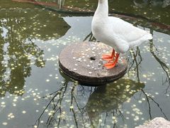 -龙华寺