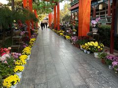 -中国翰园碑林