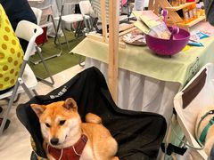 -凯德广场(武胜路店)