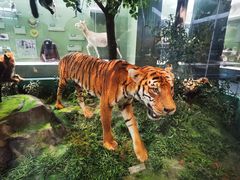 -国家自然博物馆