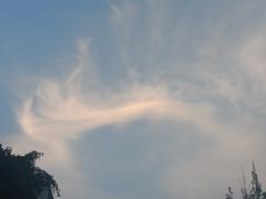 -Green valley绿谷酒吧