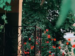 -北京张裕爱斐堡酒庄