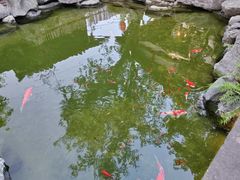 -驿舍·民國老营房院子私房菜(科学会堂店)