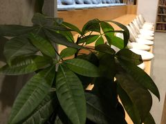 -五峰书院(南洋泾路店)