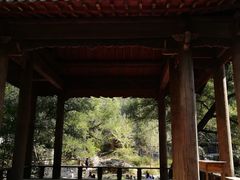 -井塘古村
