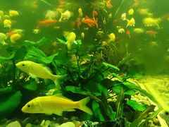 -极乐汇汗蒸会馆(杭州店)