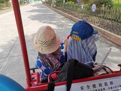 -上海都市菜园