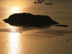 -北岐滩涂