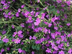 -侯臣咖啡文化村