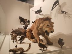 -墨尔本博物馆(Melbourne Museum)