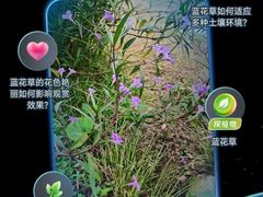 -CGV影城(滨江天街IMAX店)