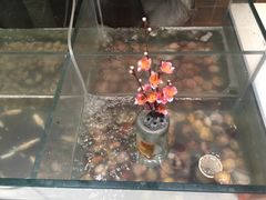 -鑫海汇海鲜烤肉火锅自助(七彩城店)