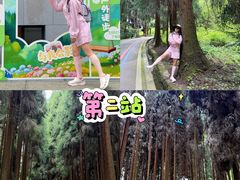 -太阳湾风景区