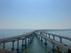 -星海湾跨海大桥