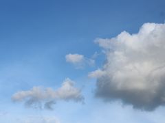 -芒洲湿地公园