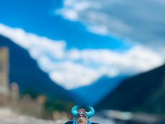 -叠溪松坪沟景区