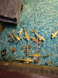 -酷嗒动物文化乐园(cutezoo西溪乐天城店)