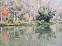 -桂林古东瀑布景区