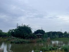 -王借岗森林公园