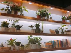 -十二舍·湯物素煮(江泰潤政店)
